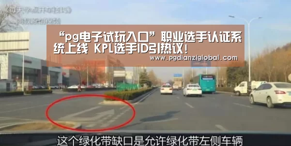 “pg电子试玩入口”职业选手认证系统上线 KPL选手ID引热议!(图4) pg电子试玩入口官网